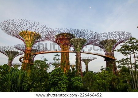 SINGAPORE - AUG 8: Super Tree Grove on August 8, 2014 in Singapore. Gardens by the Bay is the one of attractive Singapore\'s landmark.
