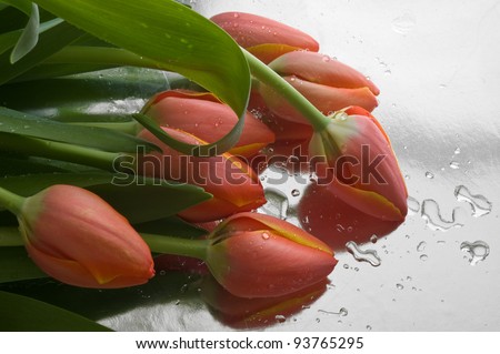 background with fresh tulips