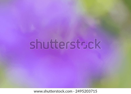 Similar – Image, Stock Photo Lavender blurred Flower