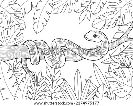 Boa constrictor on a branch. Tree leaves background. Children coloring book.