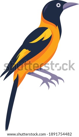 Flat design vector birds icon set. Popular birding species collection.