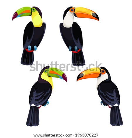 Tropical birds set. Rainbow-billed toucan and Red-billed toucan. Colorful vector, isolated, transparent background.