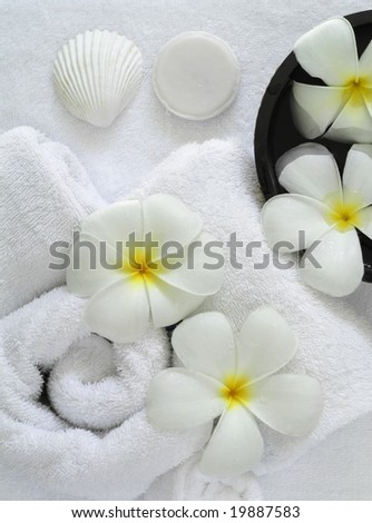 spa beauty exotic tropical flowers starfish  on white towels soap