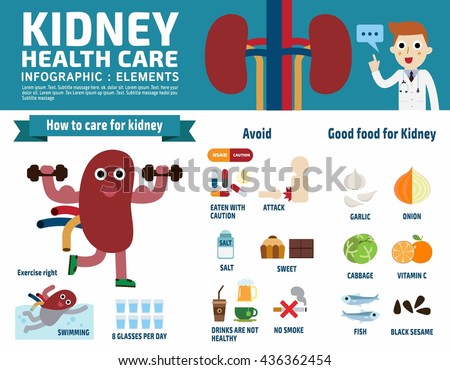 Kidney infographic elements
Vector flat design illustration.
cartoon mascot character
and icon isolated on white background.
healthcare Brochure flyer and header banner template cover
for magazine