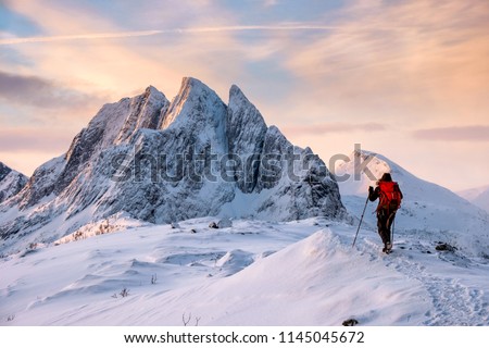 Similar – Image, Stock Photo Snowy mountain ridge in winter