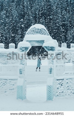 Similar – Image, Stock Photo wonderland Alberta Lake