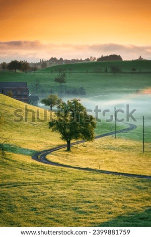 Similar – Image, Stock Photo Foggy morning in the Harz Mountains