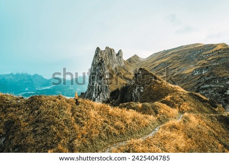 Similar – Image, Stock Photo Rocky mountain ridge during sunset