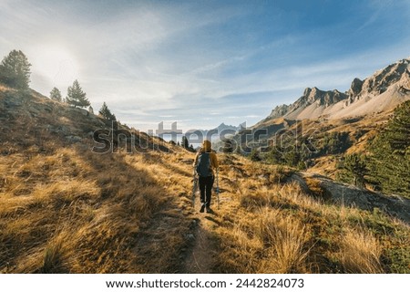 Similar – Image, Stock Photo Forest trail in autumn