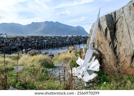 Similar – Foto Bild Ein Wal liegt auf dem Rasen