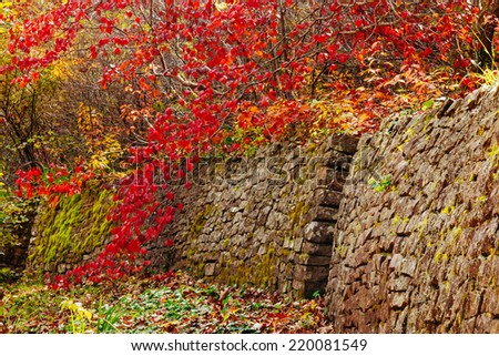 The stone wall that leads to the secret garden