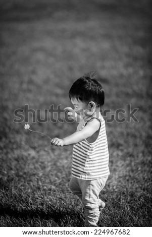 Chinese baby boy holding a flower and walking in the grass field.  Black and white photography.