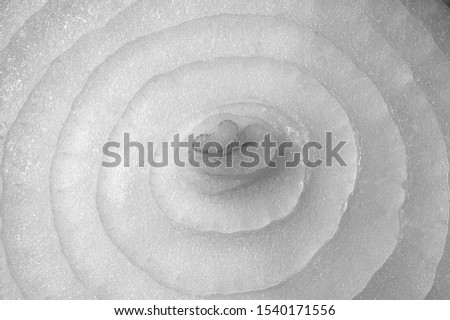 white onion cut in half Stock fotó © 