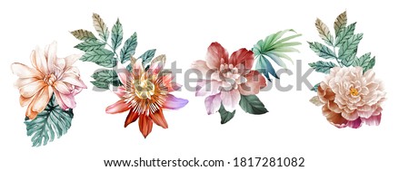 Flowers watercolor illustration.Big Set watercolor elements.