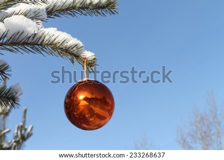 The orange glass sphere hanging on a snow-covered branch of a pine against the blue sky in the winter
