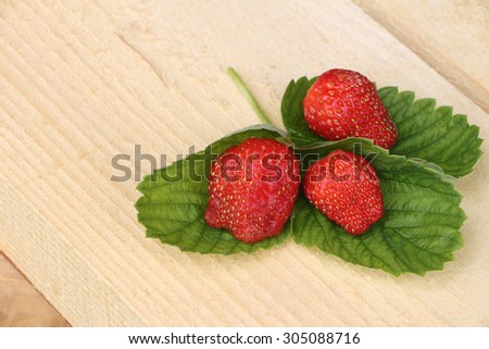 The ripe berries of strawberry lying on a support from a tree in a garden