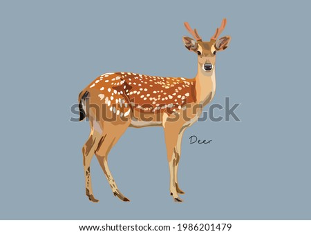 Vector Illustration of Deer, True Deer, Red Deer, Fallow Deer