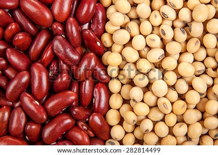 Top view background of different varieties of beans: red kidney beans, soybeans