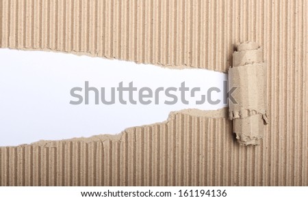 White paper with copy space and torn cardboard