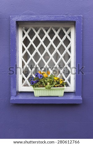 Flowers in the Window of a Colorful Cottage in the town of Kinsale in County Cork, Ireland.
