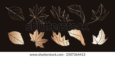 Golden foliage on a black background. Contour of leaves of maple, oak, other trees