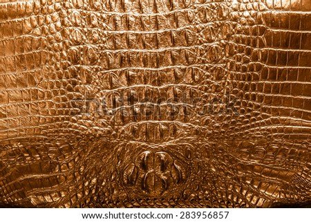 Skin crocodile color texture for make leather shirt
