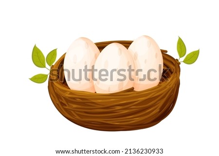 Bird nest from sticks with eggs decorated with leaves in cartoon style isolated on white background. Spring clip art, nestling. new life.