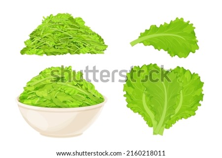 Set chopped lettuce leaves in bowl in cartoon style isolated on white background, Healthy raw ingredient, vegetarian dish. 