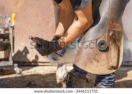 Similar – Image, Stock Photo Blacksmith taking horseshoe from furnace