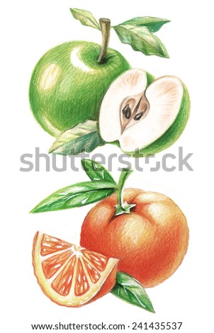 pencil drawing of apple and orange
