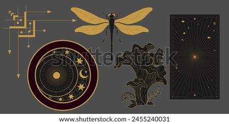 Vector mystic celestial set a with golden outline mushrooms, fly agaric, penny bun, crescents and moon phases. Black occult shiny linear labels with a magical frame stylized as engraving