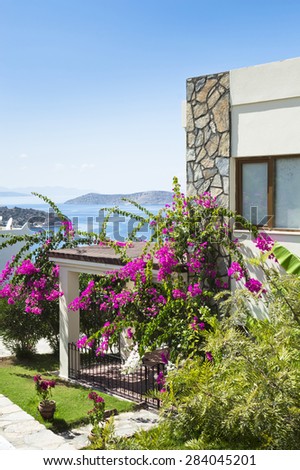 Bodrum, Turkey - September 07, 2014: General view of Bodrum house terrace with bougainvillea flower. Bodrum is very famous place of Turkey.