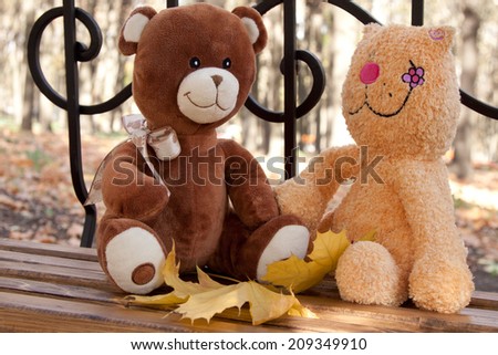 Soft toys cat with a bear on a bench in the park in autumn