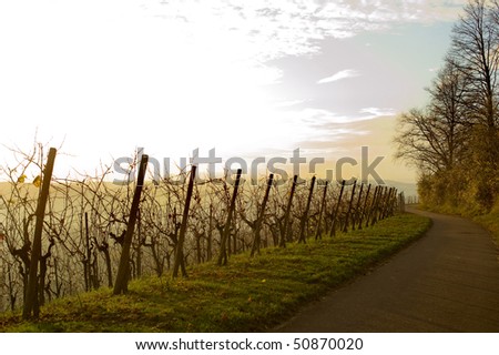 channel of  supply in a German vineyard