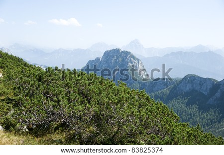 mountains and rocks and shrubbery in the upland of Kärnten in Austria