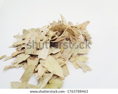 Shutterstock Puzzlepix