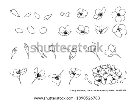 Cherry blossoms, line art illustration. Material, design parts. Various angles (black and white, line drawing, white background, flowers: no white fill)