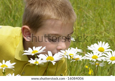 Child smells camomiles on the green meadow