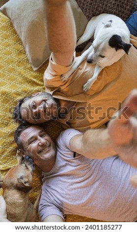 Similar – Image, Stock Photo Dog from above boyfriend