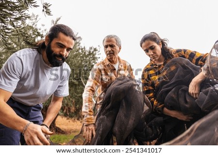 Similar – Image, Stock Photo farmers collecting olives in field of spain