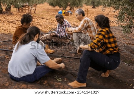 Similar – Image, Stock Photo farmers collecting olives in field of spain