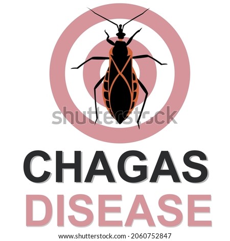 Vector illustration of a kissing bug or Triatomine animal. American trypanosomiasis or Chagas is a disease that is spread through the bite of this insect.