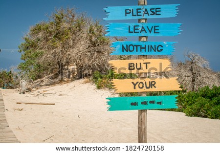  dried up cedar  tree ,white sand,blue water,beach ,Chrissi isla