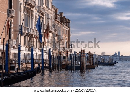 Similar – Image, Stock Photo Gondolas in morning light.