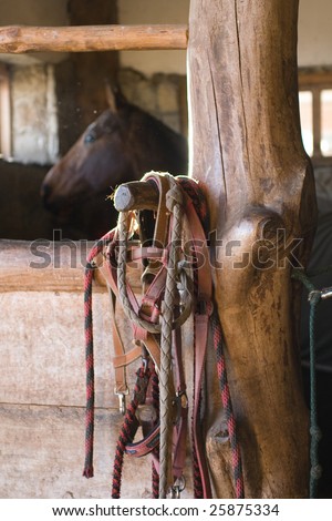 stable box with horse harness