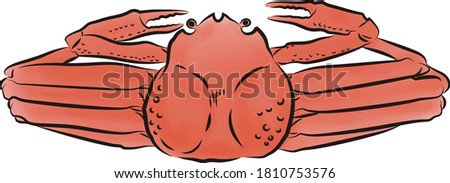
Brush painting style snow crab illustration (colored)