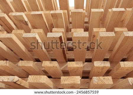 Similar – Image, Stock Photo Male woodworker cutting wood in workshop