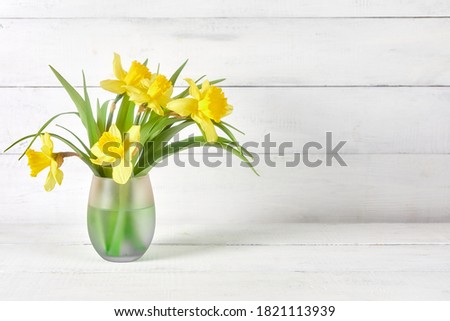 Similar – Image, Stock Photo Bright Yellow Daffodil