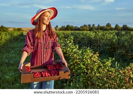 Similar – Mädchen pflückt im Garten Himbeeren vom Strauch