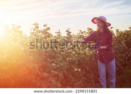 Similar – Mädchen pflückt im Garten Himbeeren vom Strauch